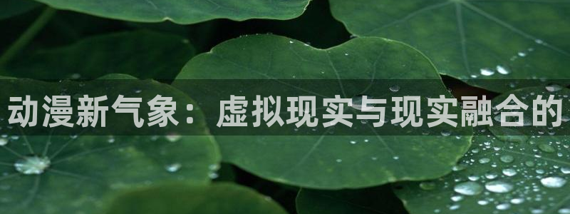 fate apocrypha动漫岛