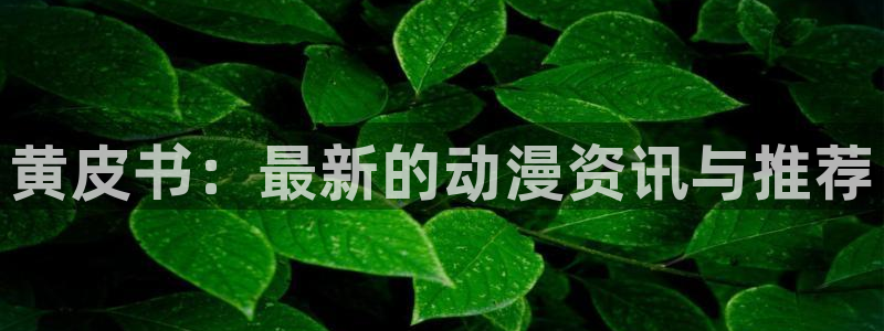 动漫岛tv官网