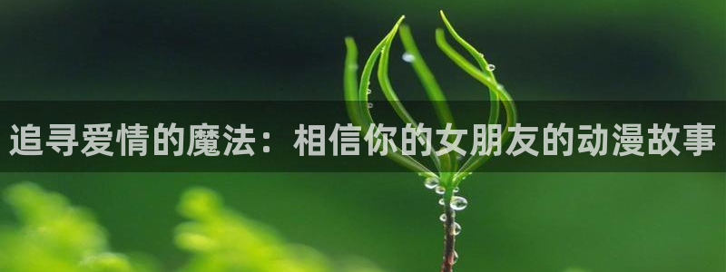 动漫岛网官网