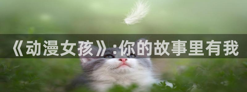 acg动漫岛