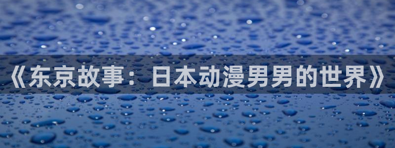 动漫岛动：《东京故事：日本动漫男男的世界》
